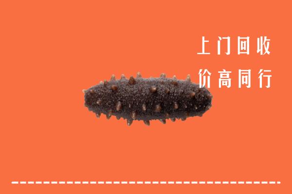 高价求购：嘉兴市海宁市回收海参