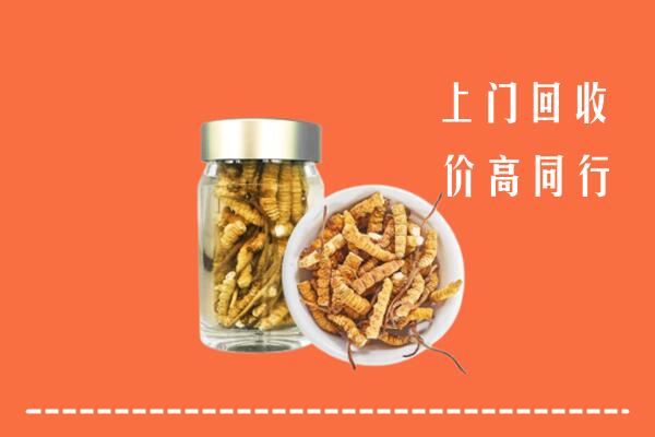 嘉兴市海宁市回收冬虫夏草