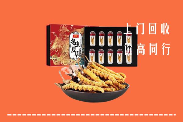 嘉兴市海宁市回收虫草